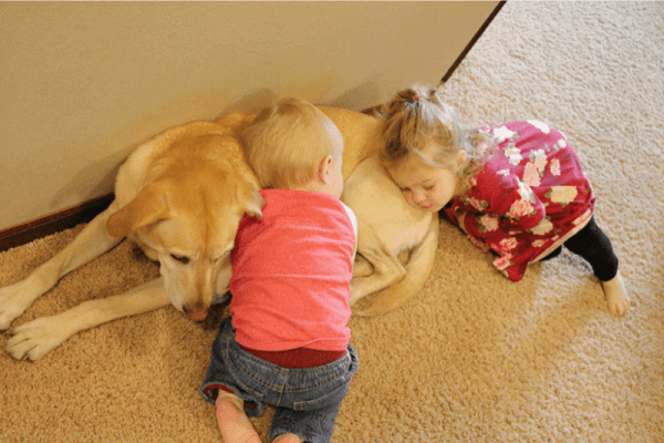 Hund und Kind
